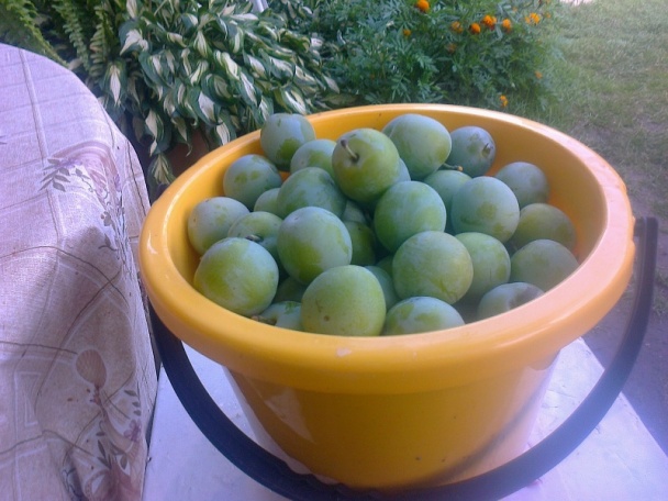 Ringlótový kompót dvojako (fotorecept) - obrázok 3