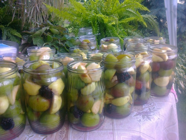 Ringlótový kompót dvojako (fotorecept) - obrázok 7