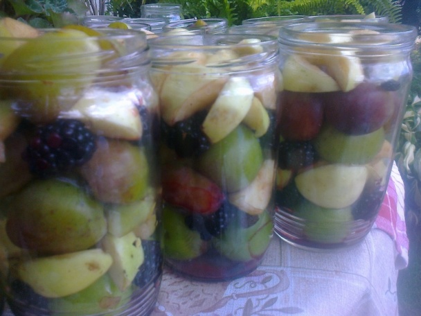 Ringlótový kompót dvojako (fotorecept) - obrázok 8