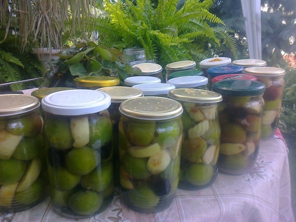 Ringlótový kompót dvojako (fotorecept) - obrázok 9