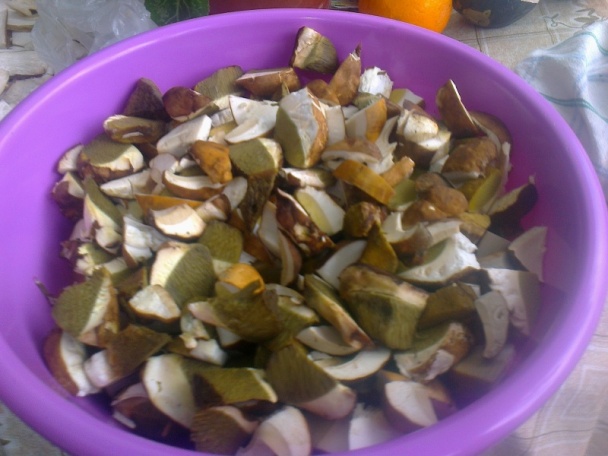 Pražené dubáčiky na cibuľke s ryžou (fotorecept) - obrázok 2
