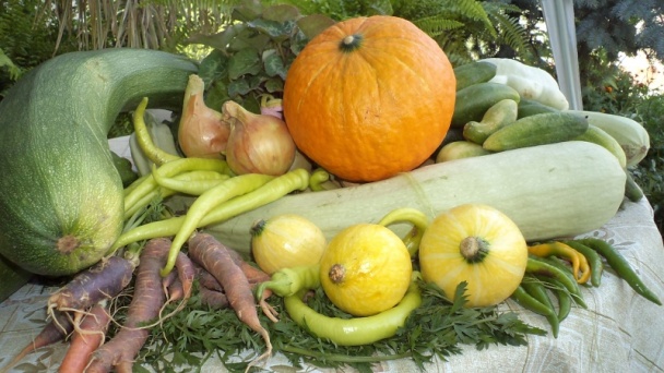 Čalamáda čo mi záhrada dala aj les ponúkol (fotorecept) - obrázok 1