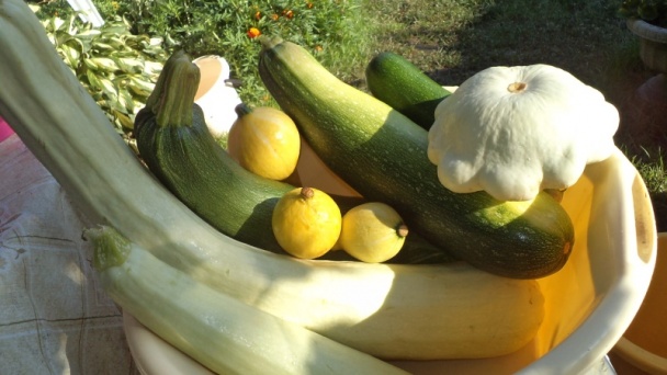 Čalamáda čo mi záhrada dala aj les ponúkol (fotorecept) - obrázok 2