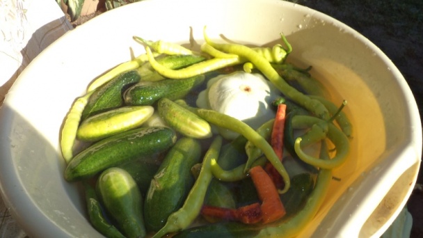 Čalamáda čo mi záhrada dala aj les ponúkol (fotorecept) - obrázok 3