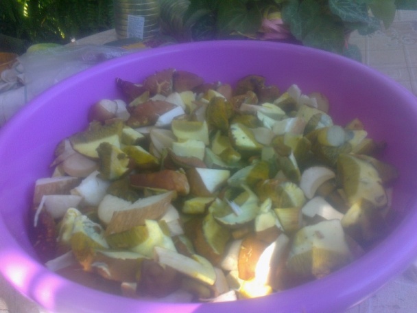 Čalamáda čo mi záhrada dala aj les ponúkol (fotorecept) - obrázok 5