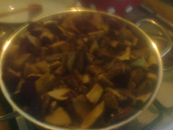 Čalamáda čo mi záhrada dala aj les ponúkol (fotorecept) - obrázok 6