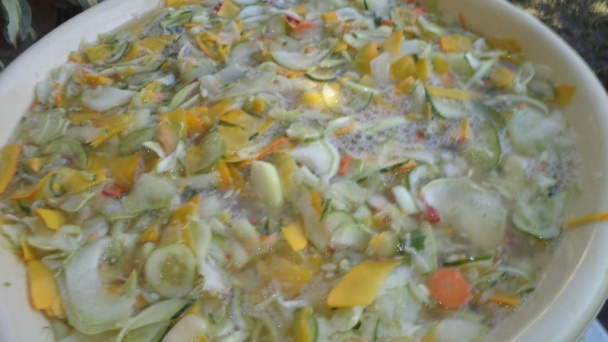 Čalamáda čo mi záhrada dala aj les ponúkol (fotorecept) - obrázok 8