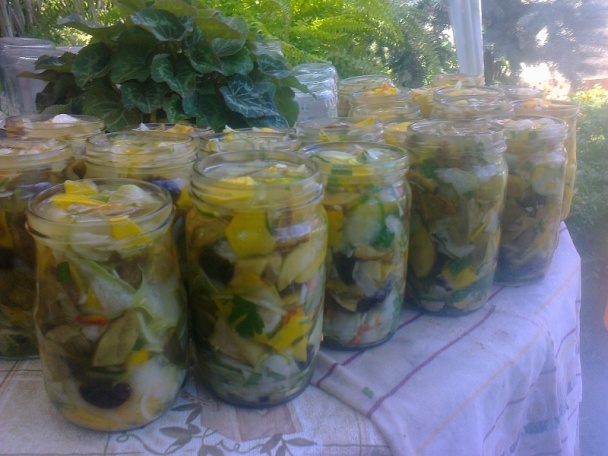 Čalamáda čo mi záhrada dala aj les ponúkol (fotorecept) - obrázok 9