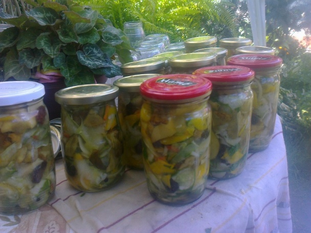 Čalamáda čo mi záhrada dala aj les ponúkol (fotorecept) - obrázok 10