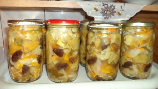 Čalamáda čo mi záhrada dala aj les ponúkol (fotorecept) - obrázok 11