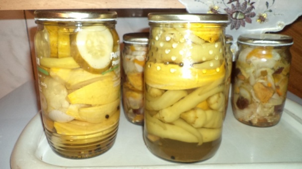 Čalamáda čo mi záhrada dala aj les ponúkol (fotorecept) - obrázok 13