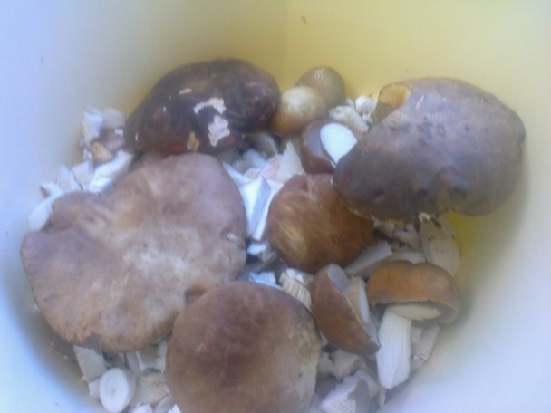 Zavárané dubáčiky so zeleninou (fotorecept) - obrázok 1