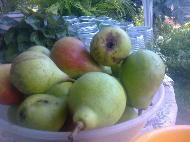 Hruškový kompót (fotorecept) - obrázok 1