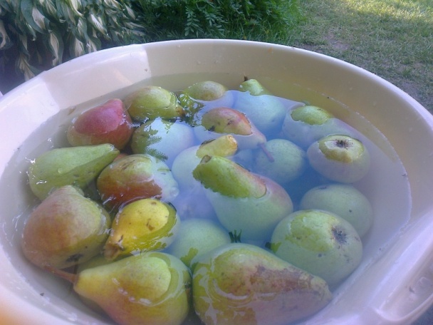 Hruškový kompót (fotorecept) - obrázok 2