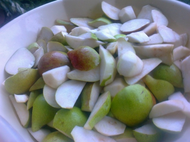 Hruškový kompót (fotorecept) - obrázok 3
