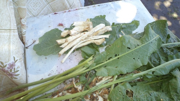 Chrenovo-jablčková pochúťka k mäsu /fotorecept/ - obrázok 2