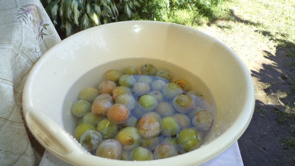 Ringlotovo-rebarborový džem (fotorecept) - obrázok 1