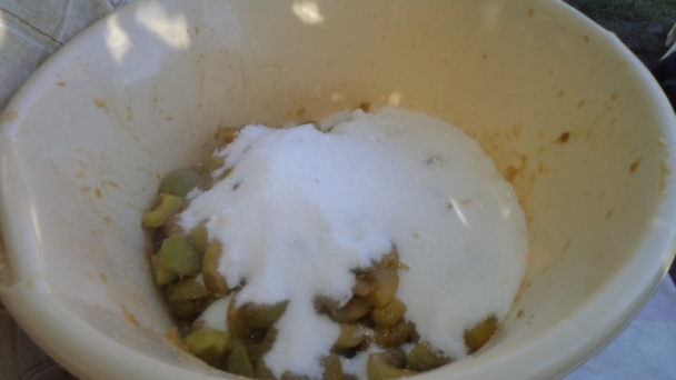 Ringlotovo-rebarborový džem (fotorecept) - obrázok 4