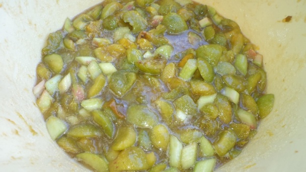 Ringlotovo-rebarborový džem (fotorecept) - obrázok 5