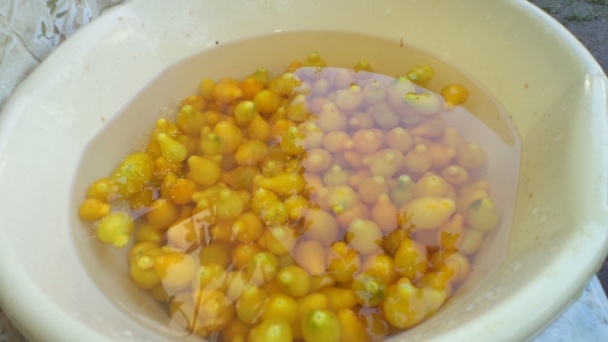 Žltý paradajkový pretlak na zimu (fotorecept) - obrázok 3