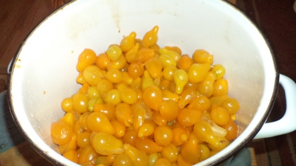 Žltý paradajkový pretlak na zimu (fotorecept) - obrázok 4