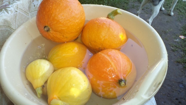 Hokkaido pikantne /fotorecept/ - obrázok 2