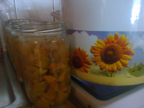 Hokkaido pikantne /fotorecept/ - obrázok 7