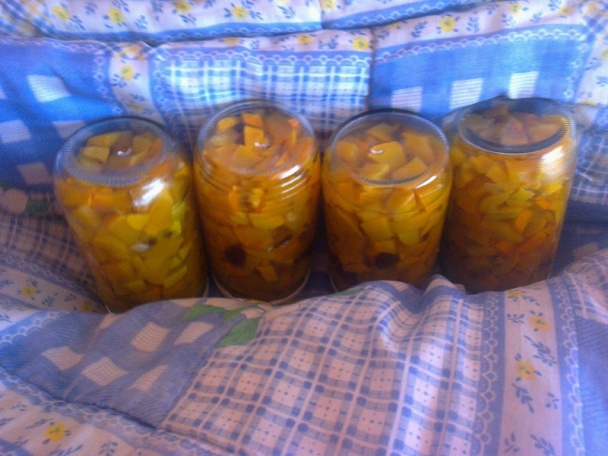 Hokkaido pikantne /fotorecept/ - obrázok 8