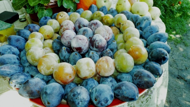 Slivkový kompót s hrozienkami (fotorecept) - obrázok 1