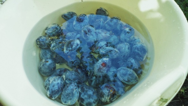 Slivkový kompót s hrozienkami (fotorecept) - obrázok 2