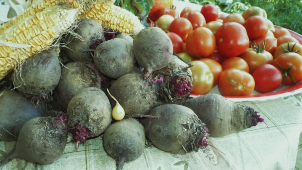 Slivkový kompót s hrozienkami (fotorecept) - obrázok 6