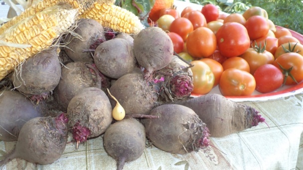 Zaváraná cvikla s jablkom, cibuľou a anízom (fotorecept) - obrázok 1