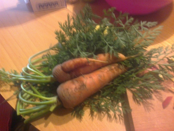 Zaváraná cvikla s jablkom, cibuľou a anízom (fotorecept) - obrázok 5