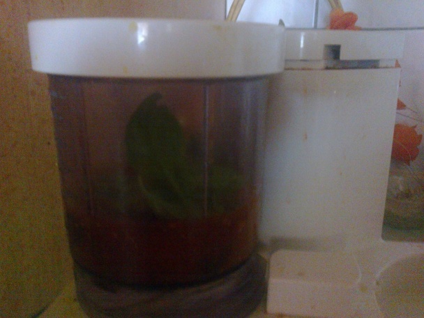Kečup s bazalkou (fotorecept) - obrázok 8