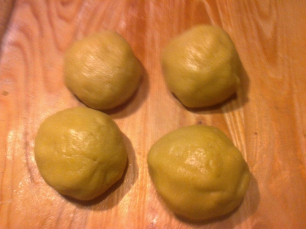 Mimóza rezy (fotorecept) - obrázok 2