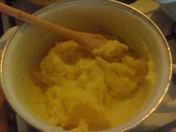 Mimóza rezy (fotorecept) - obrázok 3