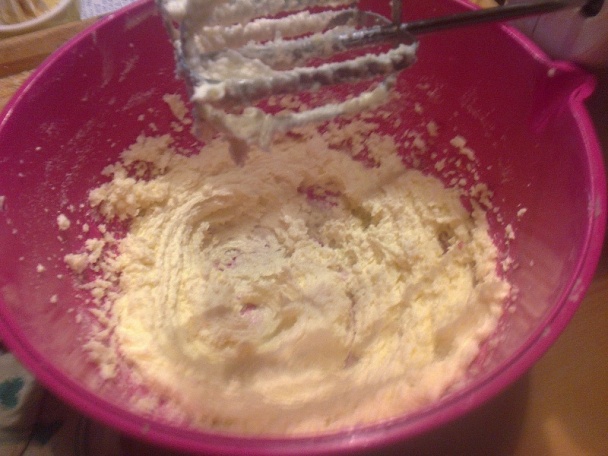 Mimóza rezy (fotorecept) - obrázok 4