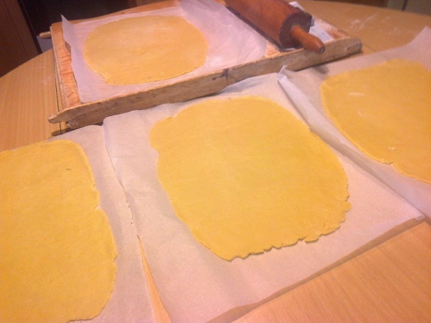 Mimóza rezy (fotorecept) - obrázok 5