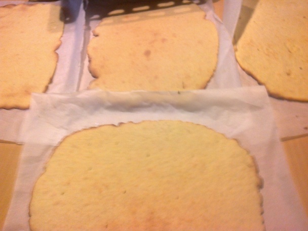 Mimóza rezy (fotorecept) - obrázok 6