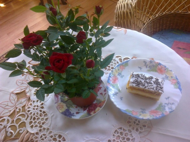 Mimóza rezy (fotorecept) - obrázok 11