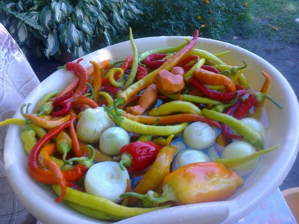 Baranie rohy v čalamáde s hrozienkami /fotorecept/ - obrázok 2