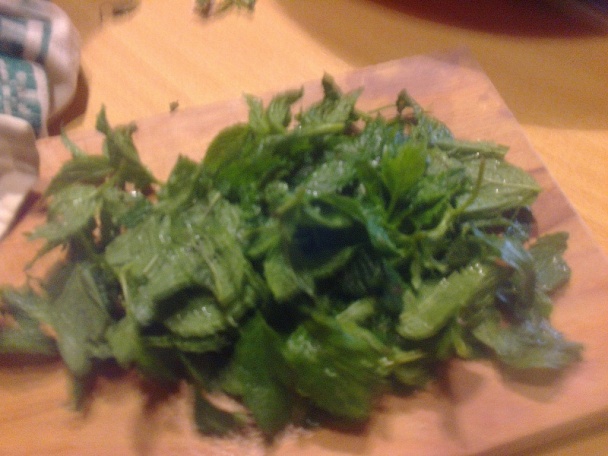 Mäta-čokoládové rezy (fotorecept) - obrázok 9