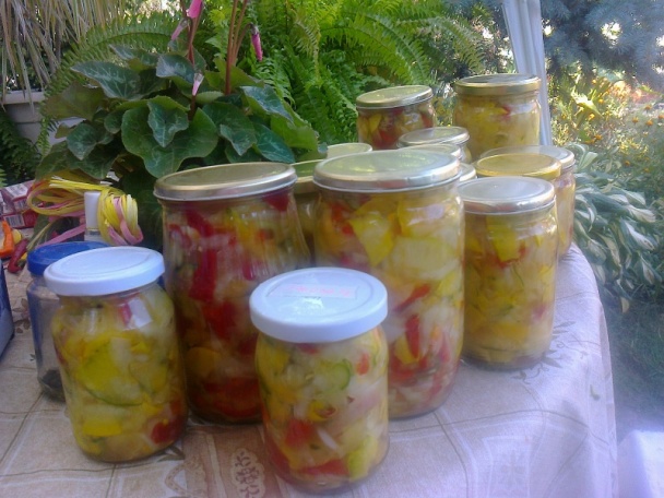 Čalamáda krásne farebná a pikantná (fotorecept) - obrázok 10