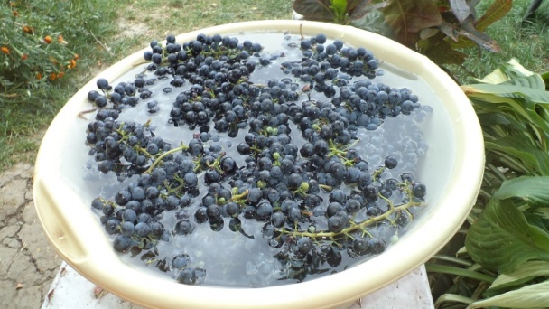 Hroznový lekvár s klinčekmi a škoricou (fotorecept) - obrázok 2