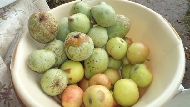 Hruškovo-jablkovo-pomarančovo-hokkaido kompót - obrázok 1