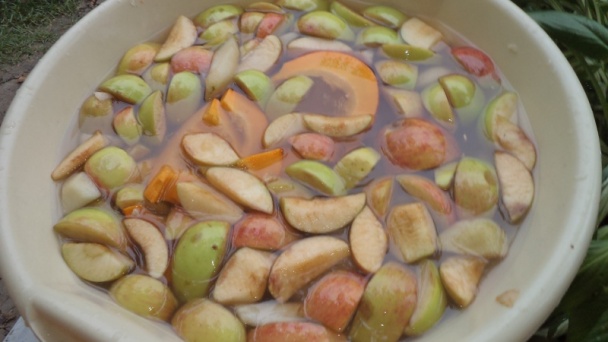 Hruškovo-jablkovo-pomarančovo-hokkaido kompót - obrázok 2