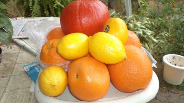 Hruškovo-jablkovo-pomarančovo-hokkaido kompót - obrázok 3