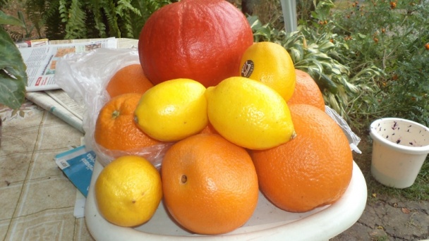 Kandizovaná pomarančová kôra (fotorecept) - obrázok 1