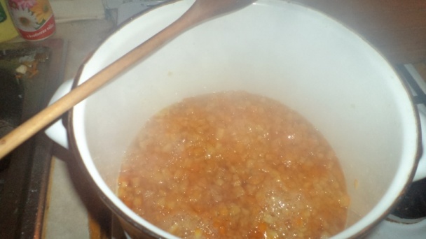 Kandizovaná pomarančová kôra (fotorecept) - obrázok 4