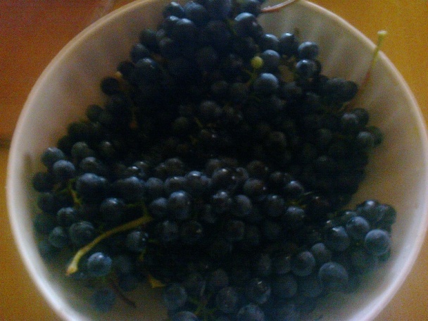 Pomarančovo-hruškovo-hroznový kompót (fotorecept) - obrázok 4